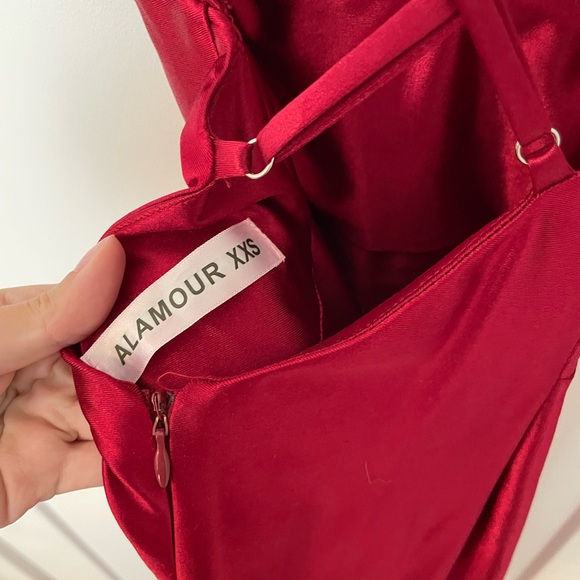 Alamour the Label Amina Dress - Picture 5 of 7